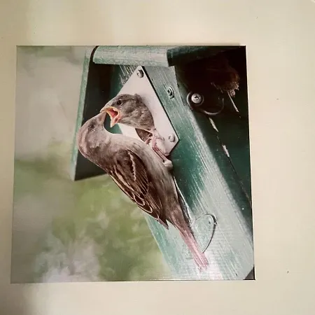 Cozy In With Huge Private Garden Prázdninový dům