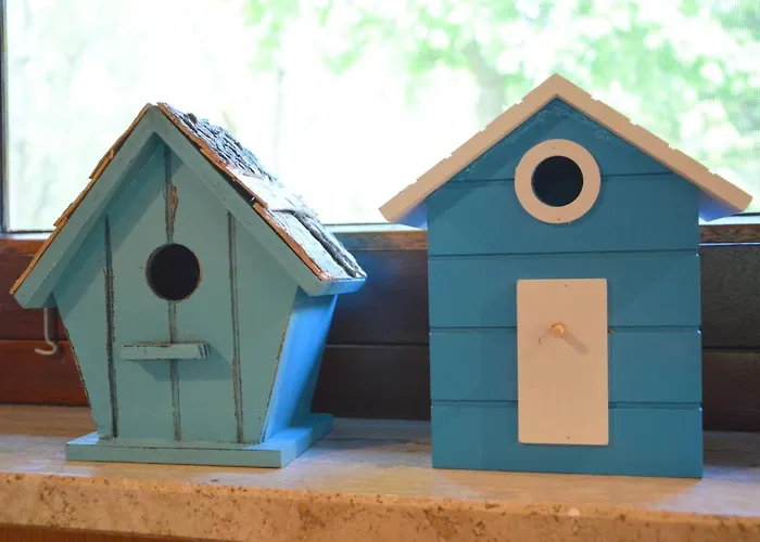 Cozy In With Huge Private Garden