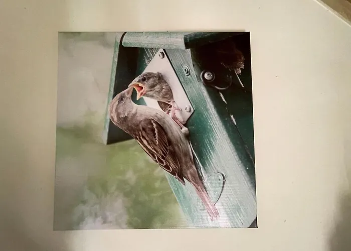 Cozy In With Huge Private Garden Σπίτι διακοπών